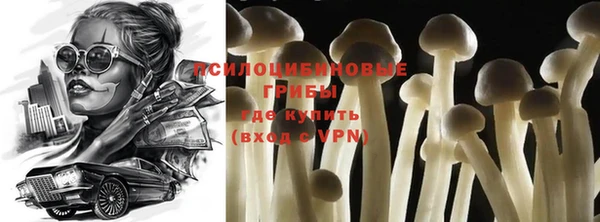 хмурый Зеленодольск
