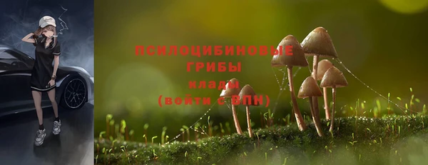 бошки Заволжье