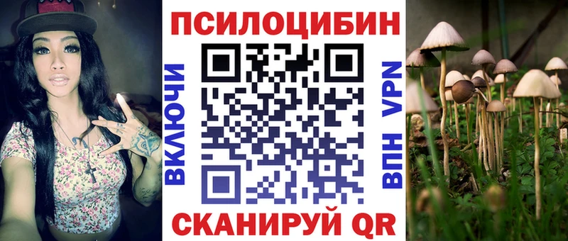 Галлюциногенные грибы GOLDEN TEACHER  Купить закладки  Зарайск 